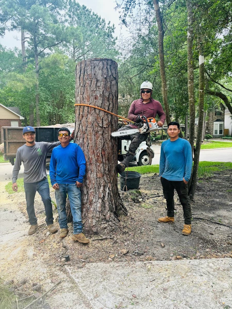 Southeast Texas Tree LLC