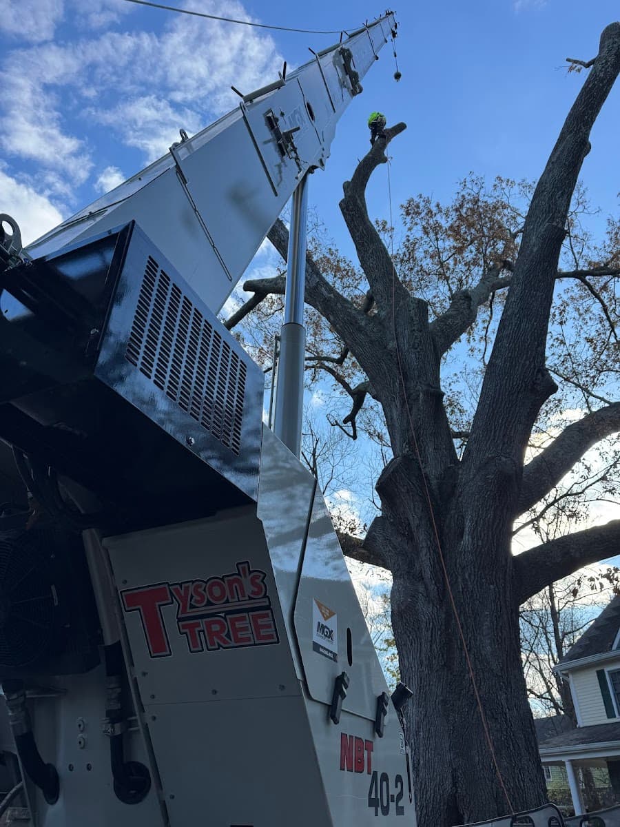 Tyson's Tree Service