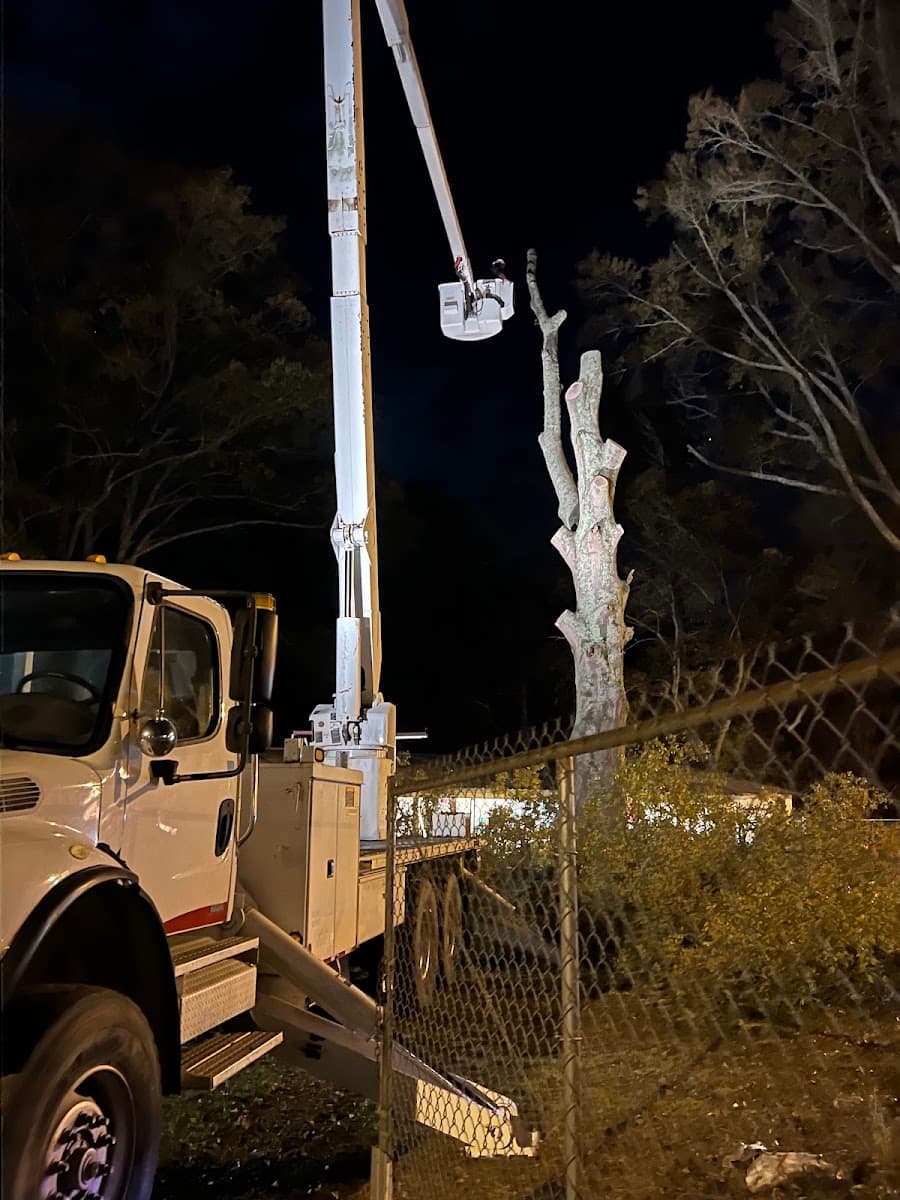 Trujillo Tree Service LLC