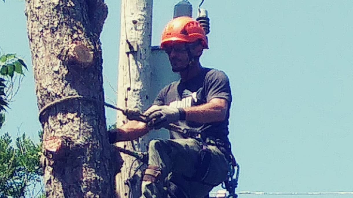 Humbolt Tree Service