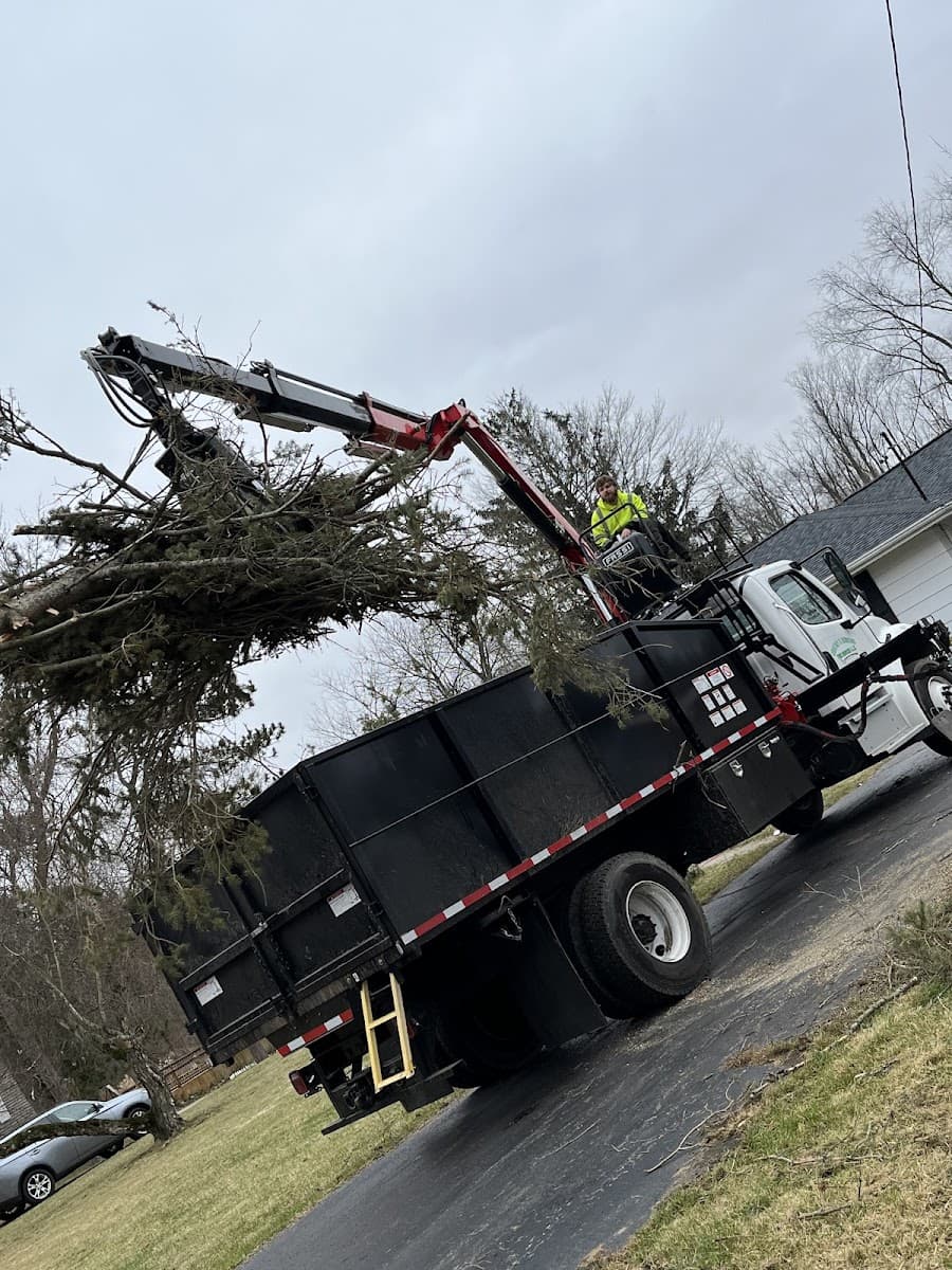 Courtney and Hawkins Tree Service