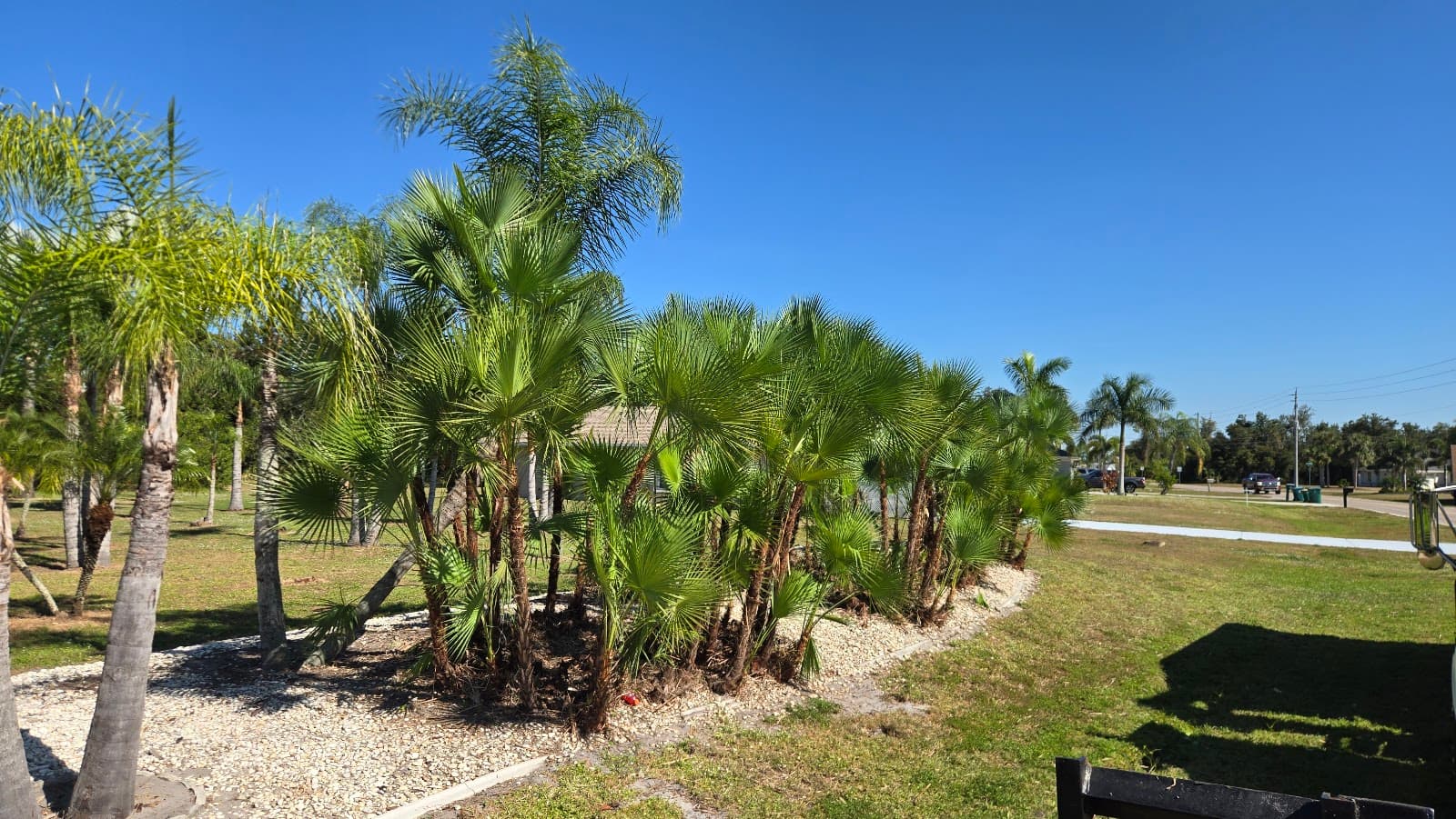 YG Tree Services LLC