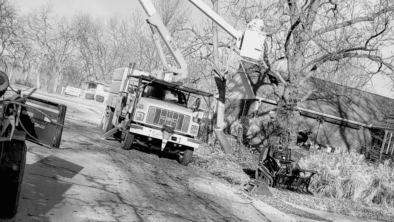 Hill Tree Service LLC