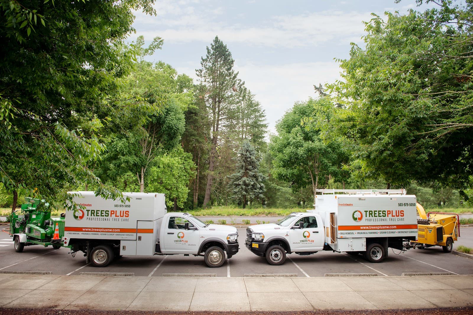 Trees Plus Northwest