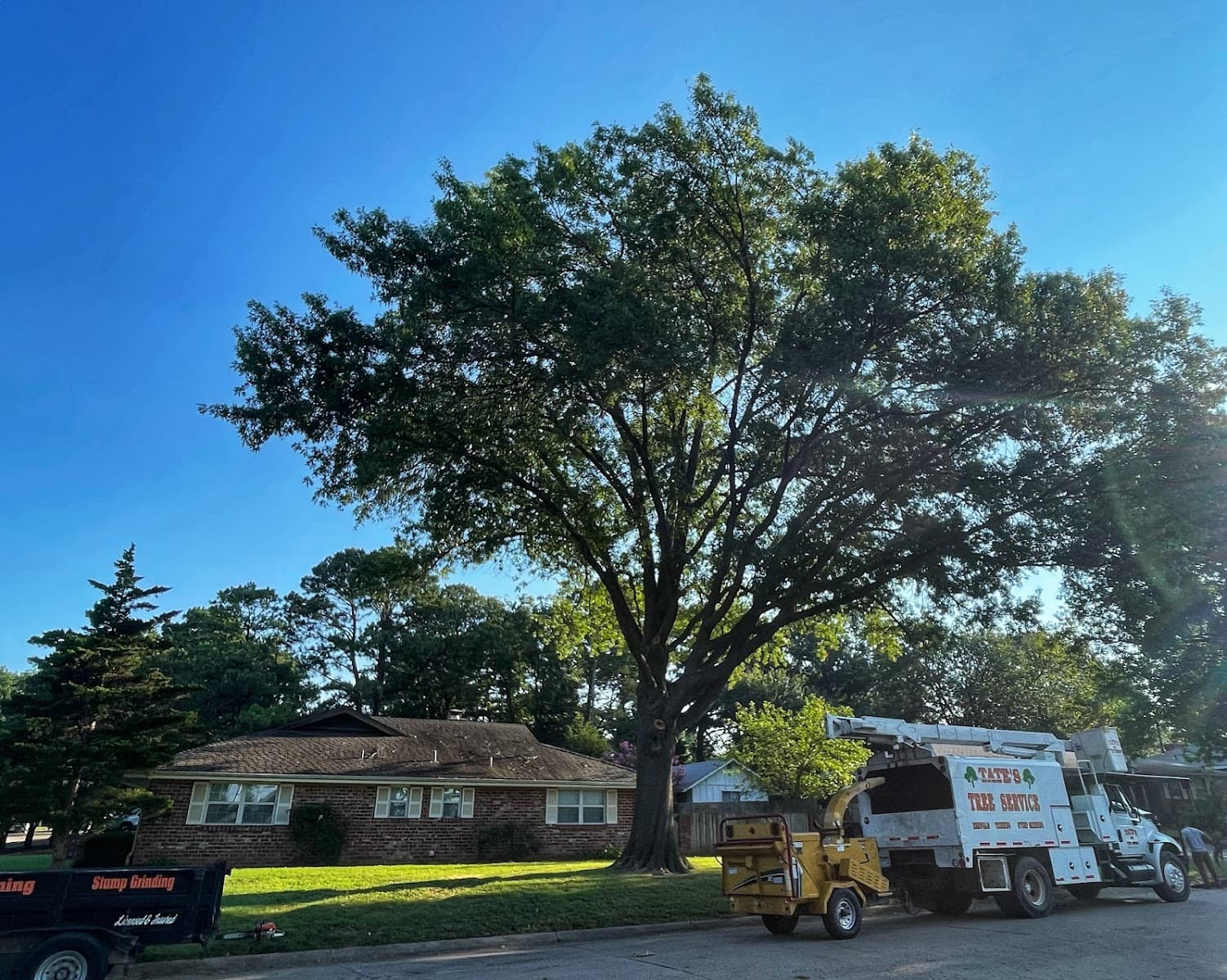 Tate’s Tree Service