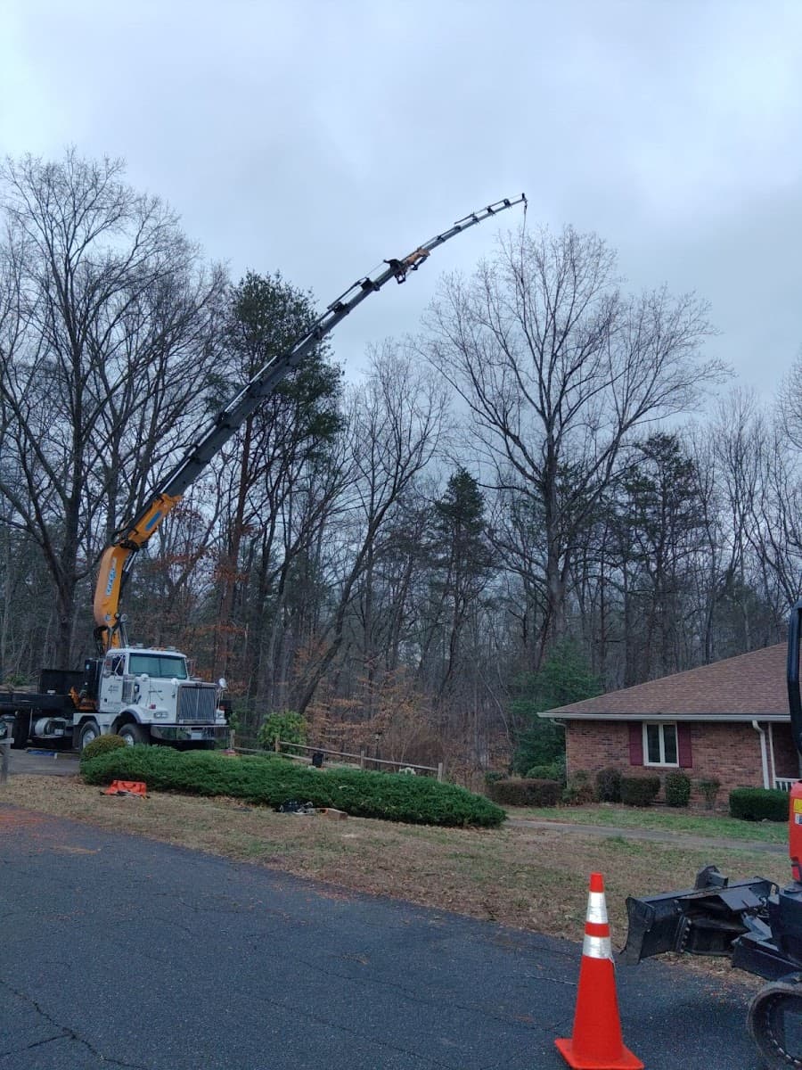 4 Seasons Tree Care, Inc