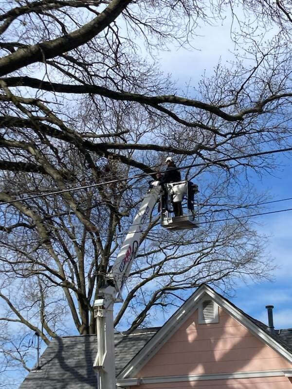 Advanced Tree Solutions LLC