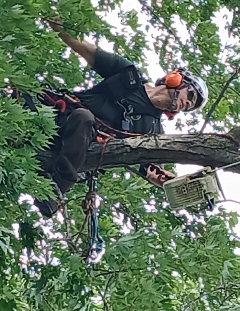Miller’s Tree Service