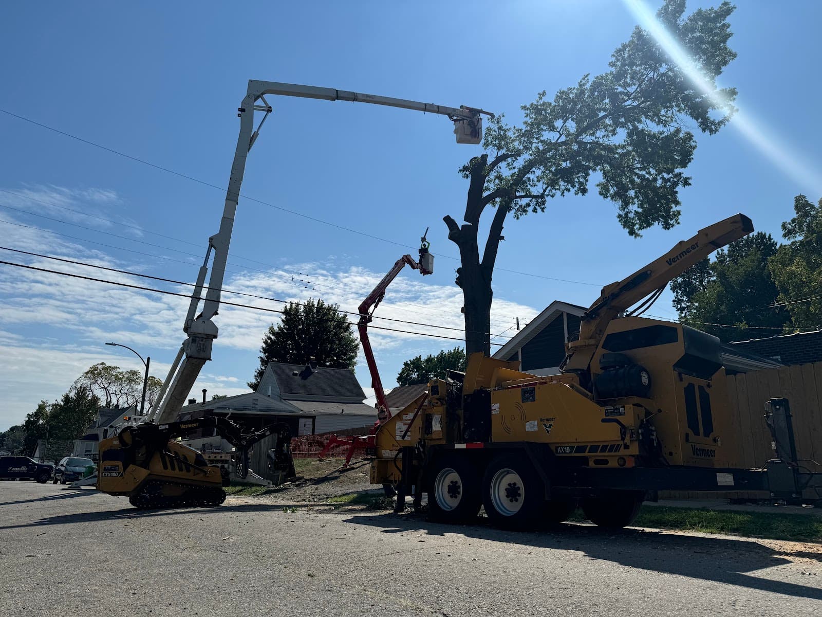 Accurate Tree Service