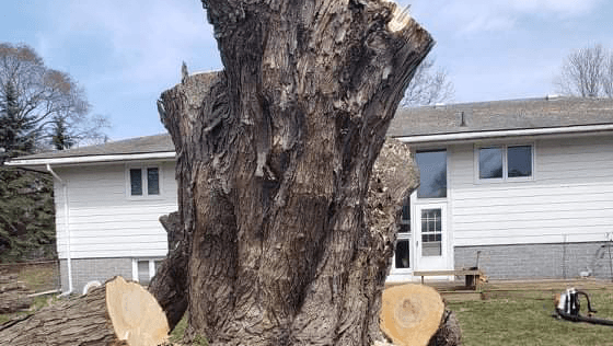 High Performance Tree Services, Inc