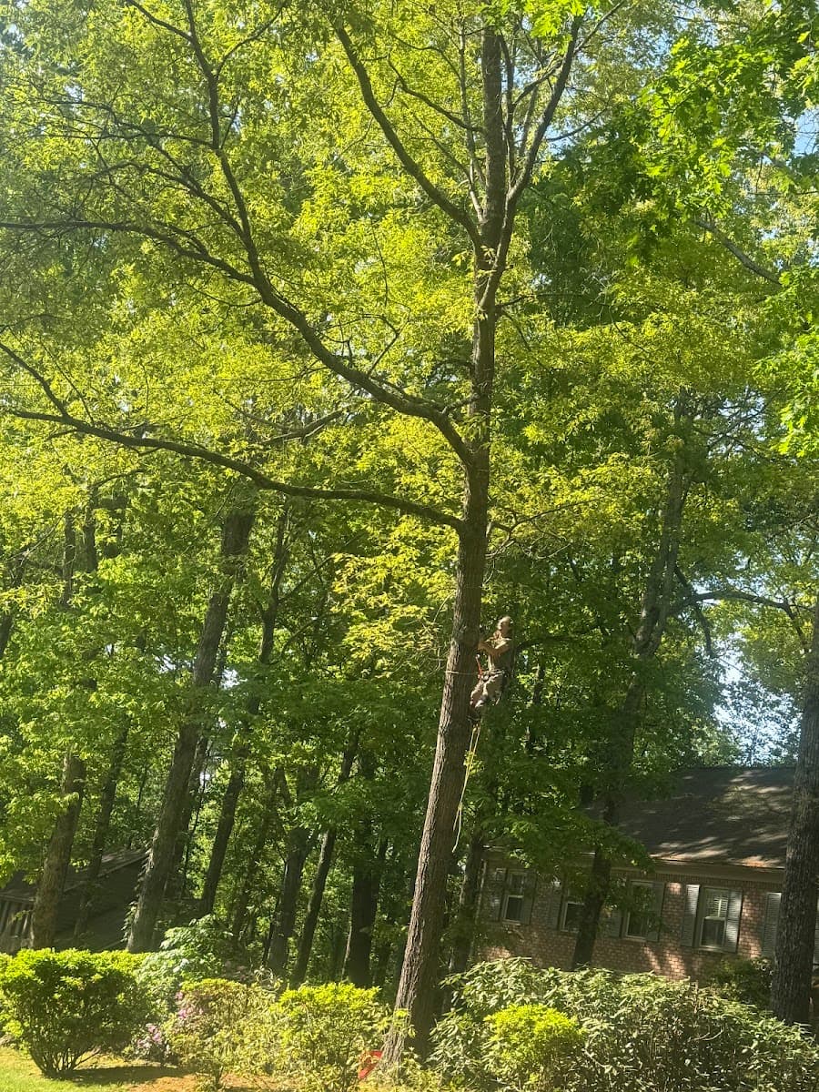 Tyler's Tree Service