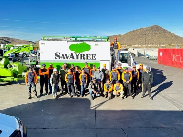 SavATree - Tree Service & Lawn Care