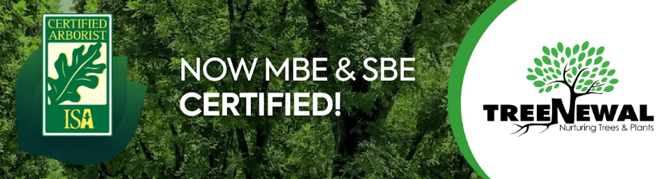 TreeNewal, Certified Arborist