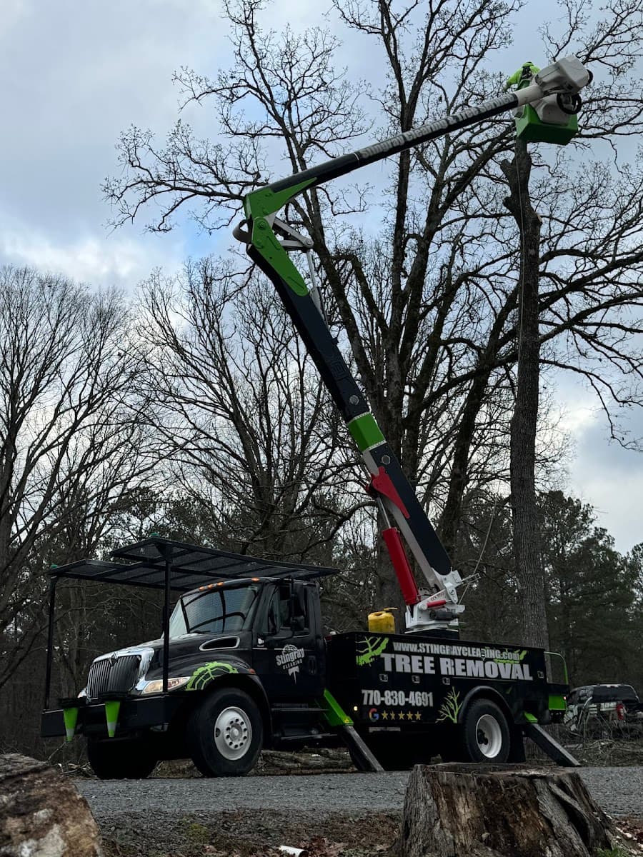 Stingray Clearing & Tree Service