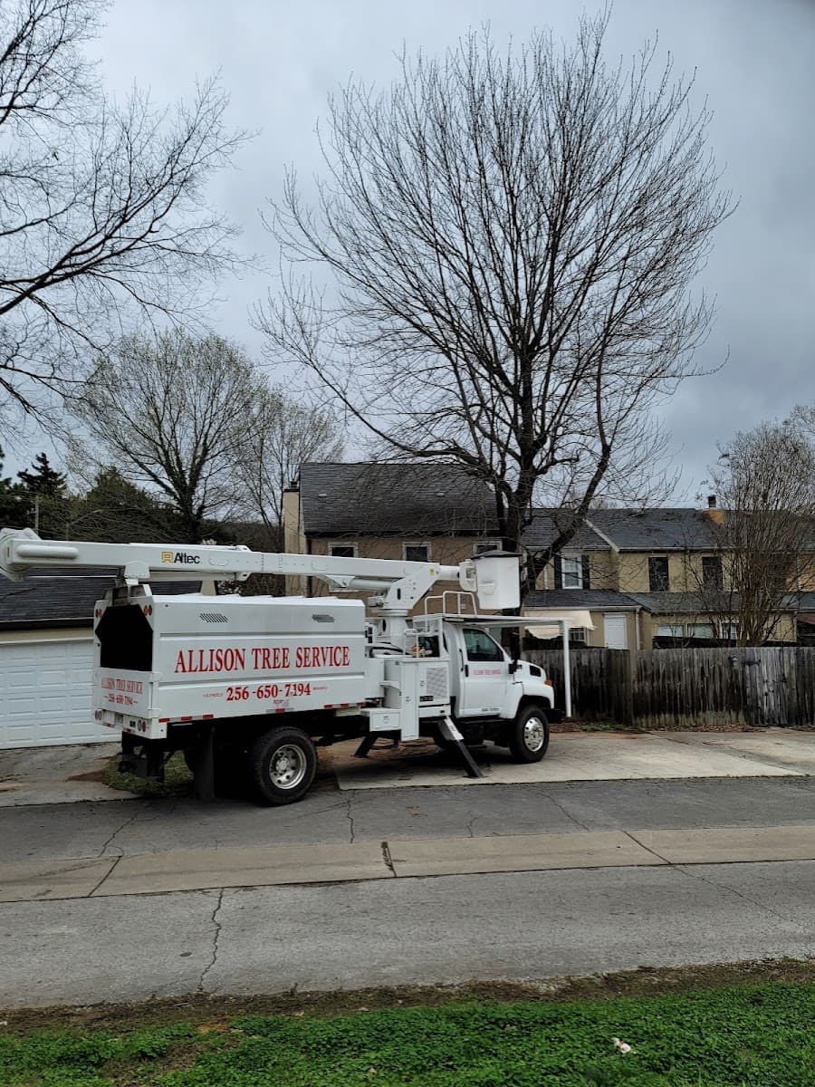 Allison Tree Service