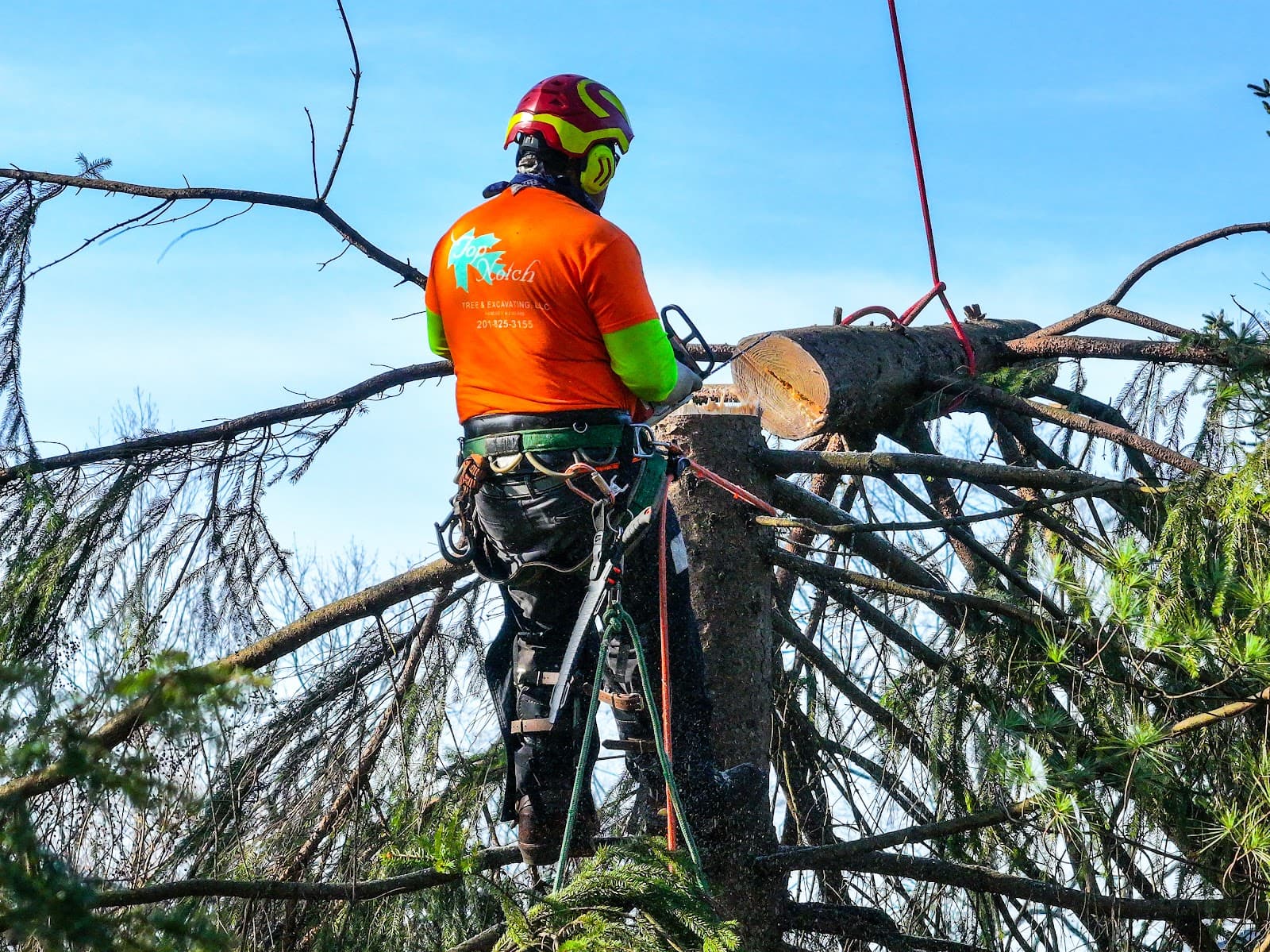 Top Notch Tree & Excavating LLC