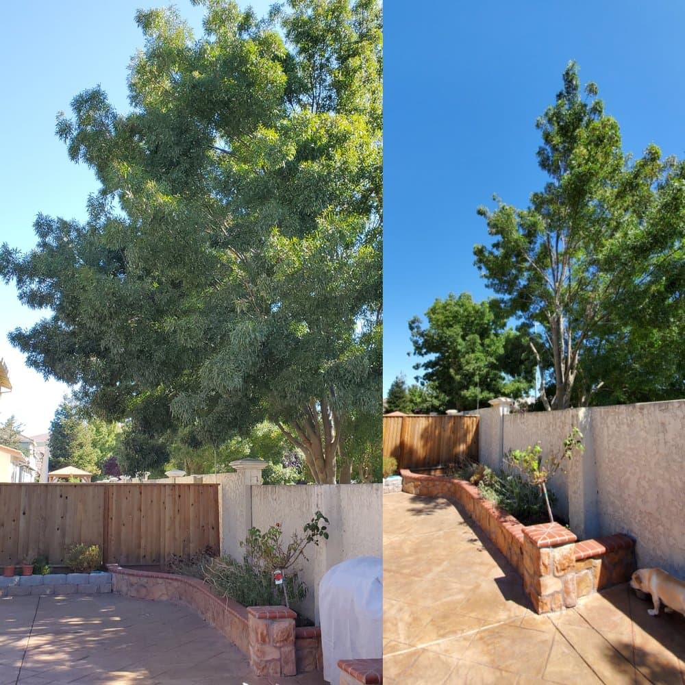 RAY'S TREE SERVICES, INC.