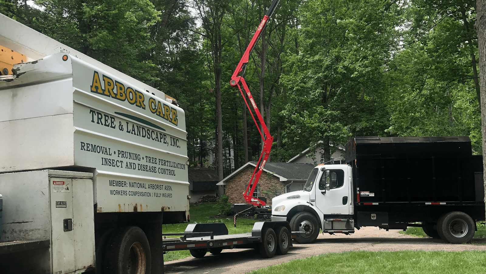 Arbor Care Tree & Stump Grinding