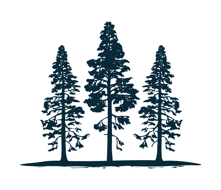 Timber Stand Improvement