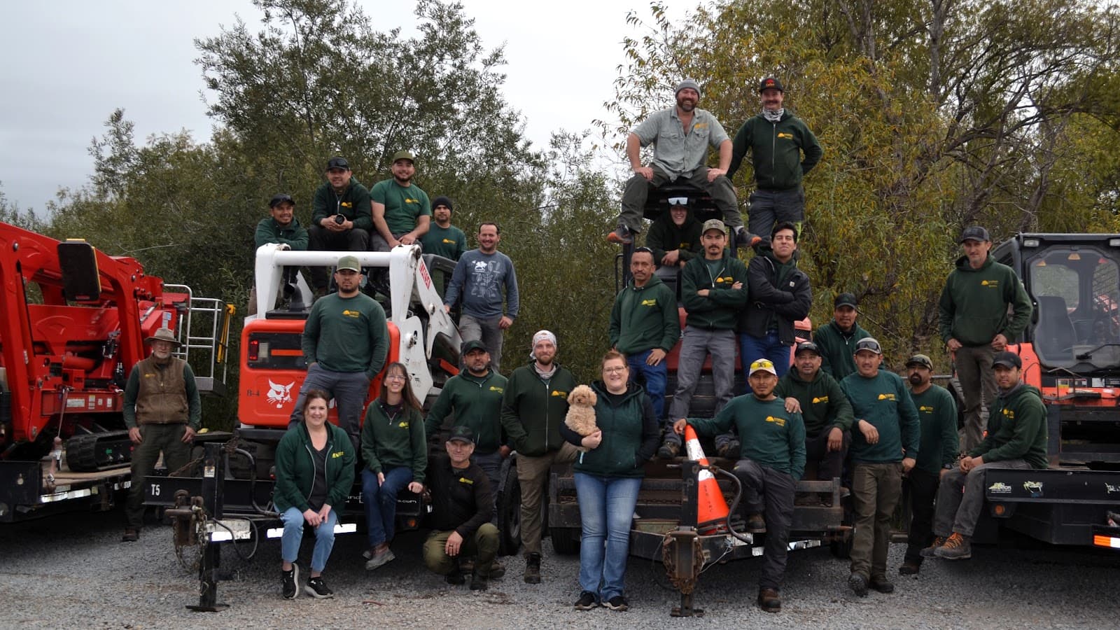 Sandborn Tree Service Inc