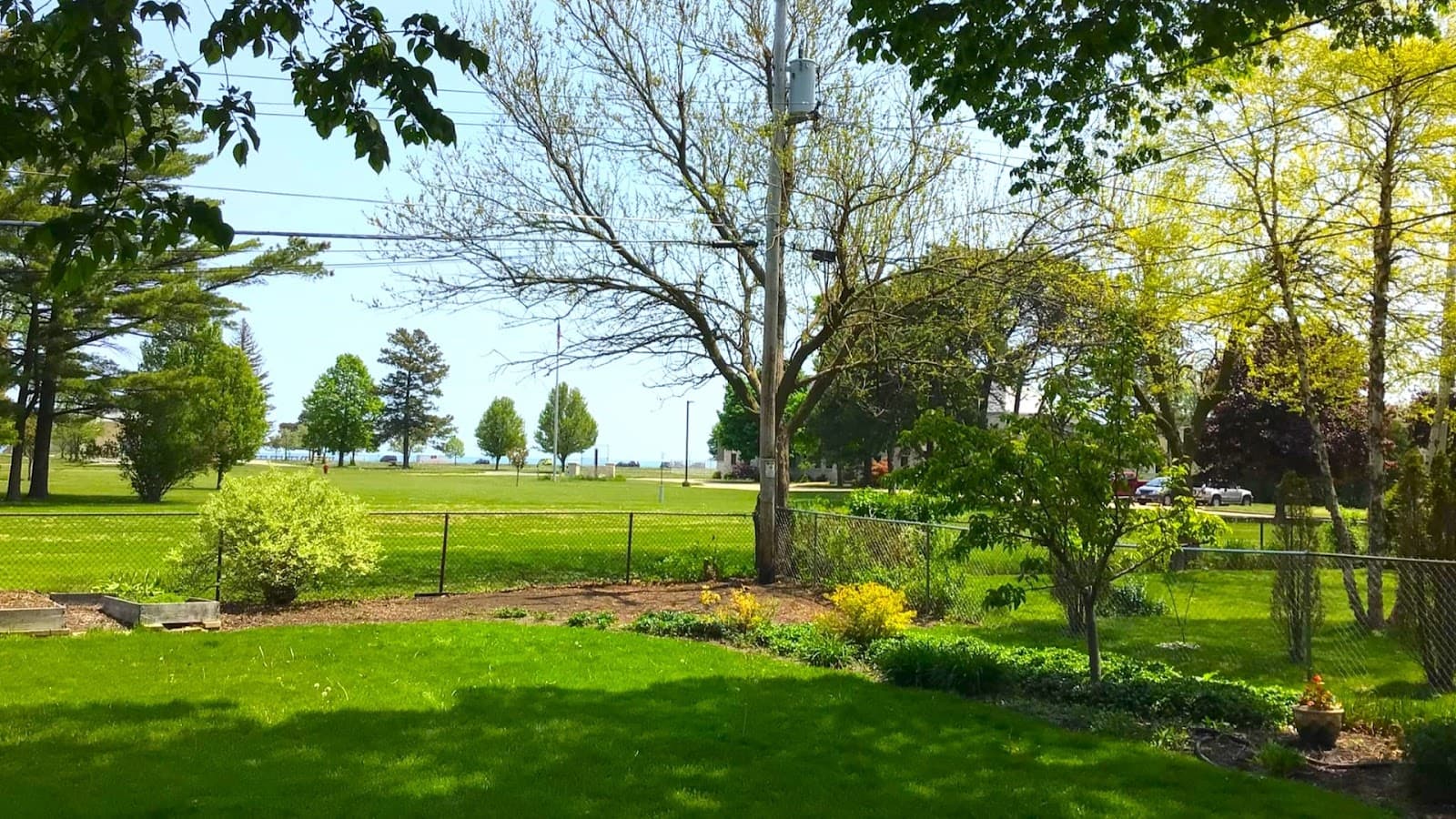 Aaron's Tree Service