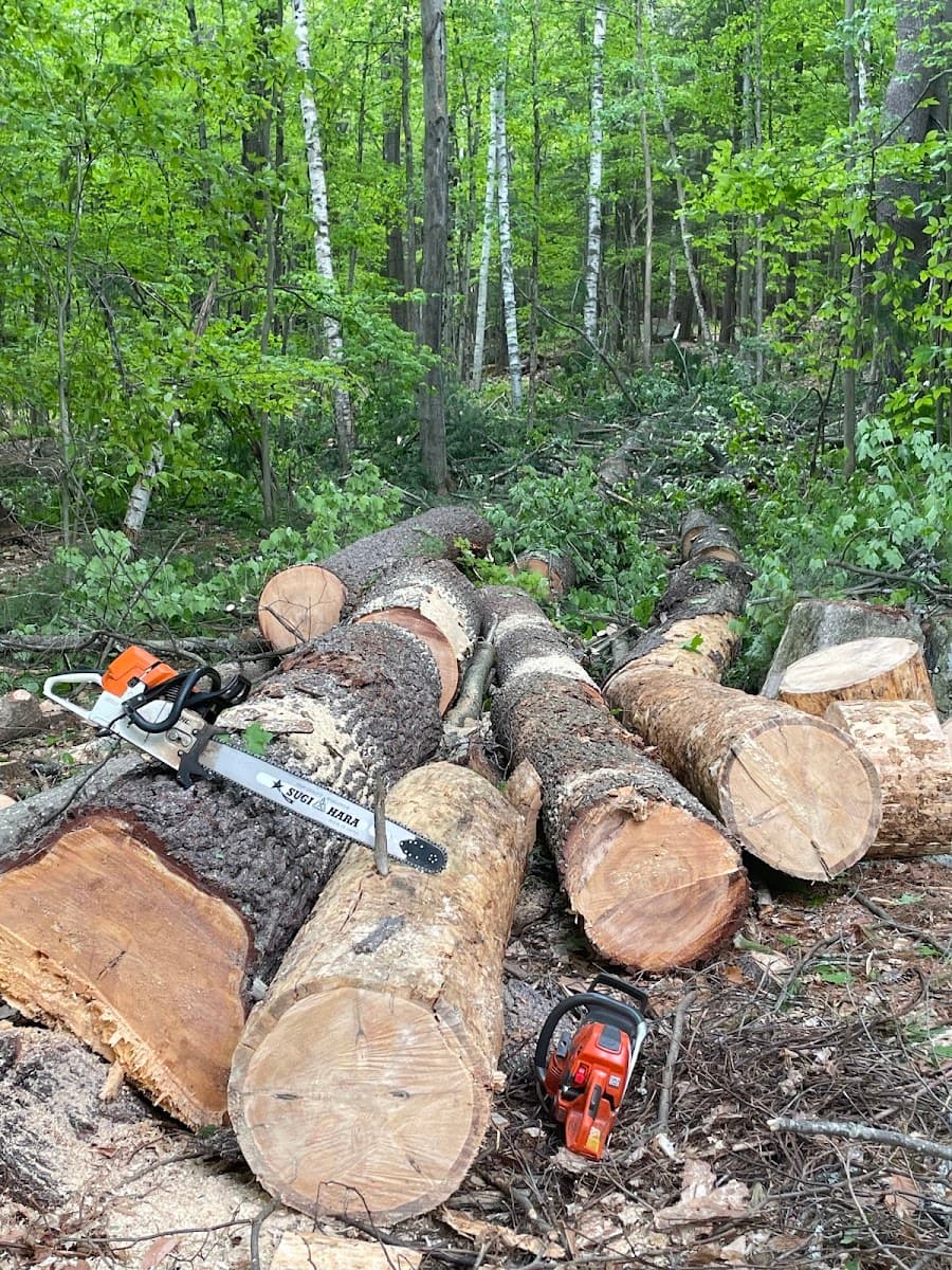 Woodsman's Tree Service LLC