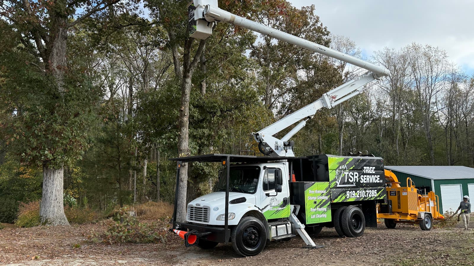 TSR Tree & Stump Service