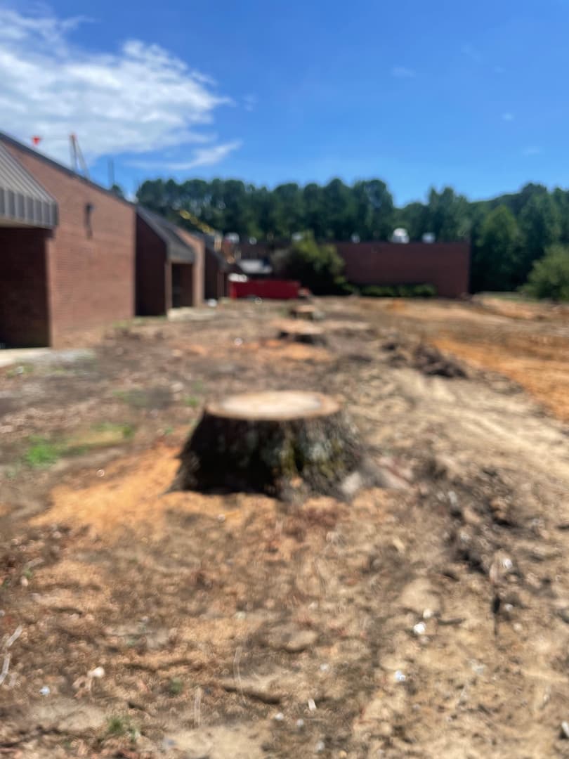 Great Scott's Residential Services