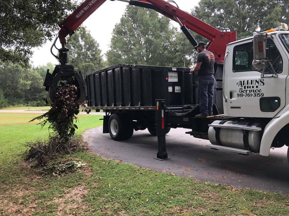 Allen's Tree Service