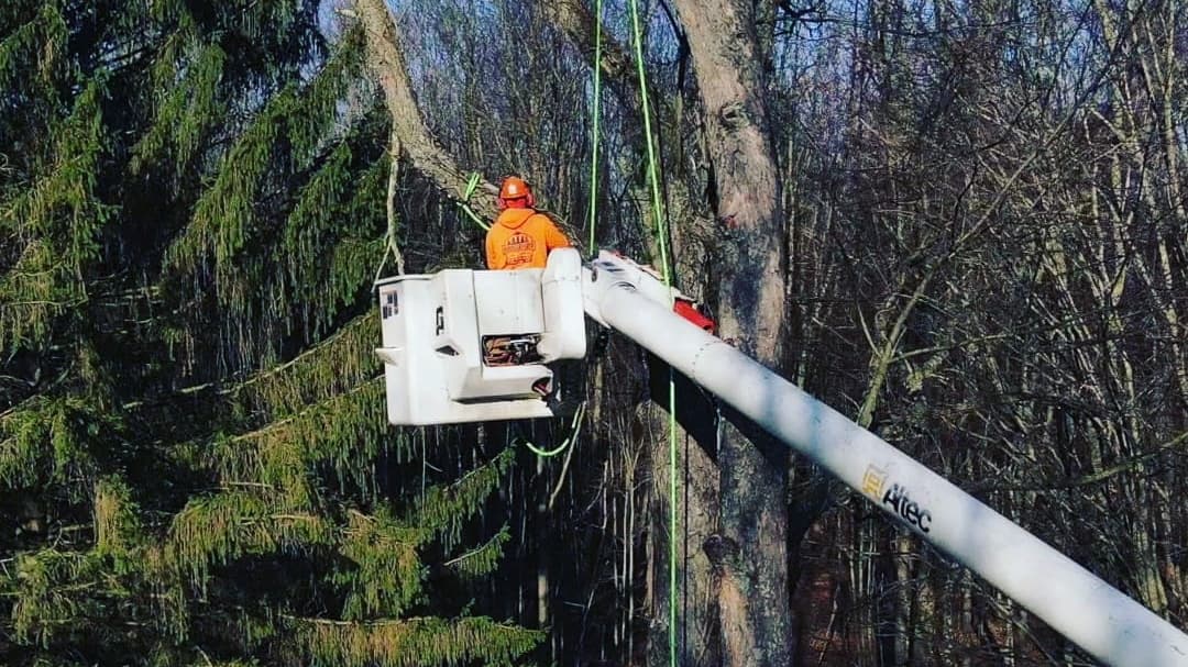 Brawner's Tree Service