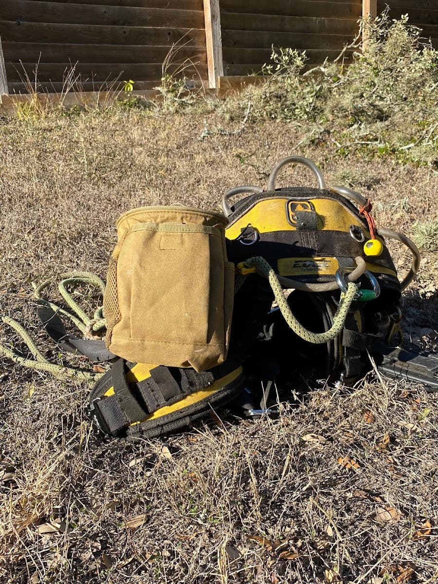 Simple Leaf Tree Care