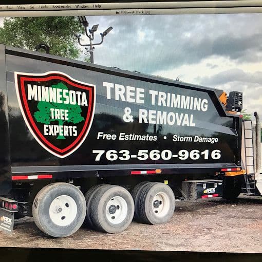 Minnesota Tree Experts