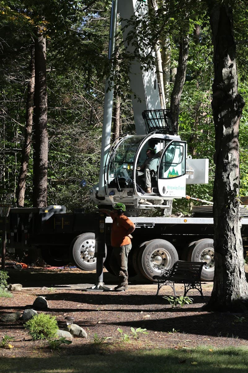 Knowles Tree Services Inc