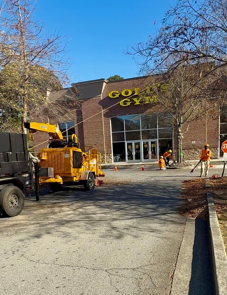 Big South Land & Tree LLC