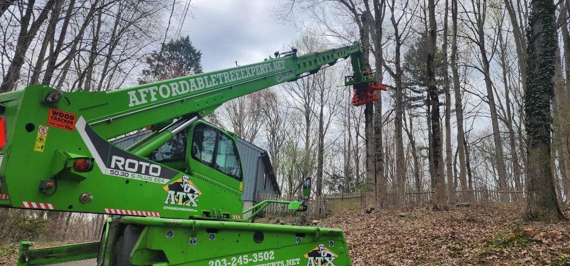Affordable Tree Experts LLC
