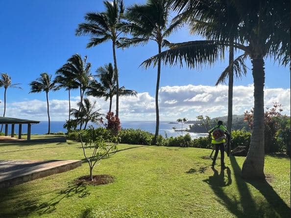 JP'S Tree Trimming LLC.