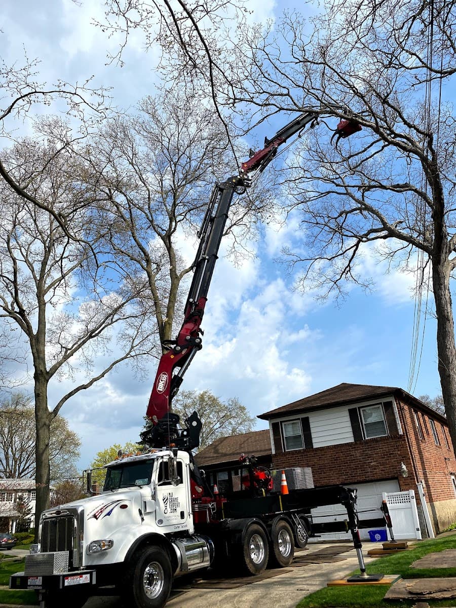 Ramalho Tree Service