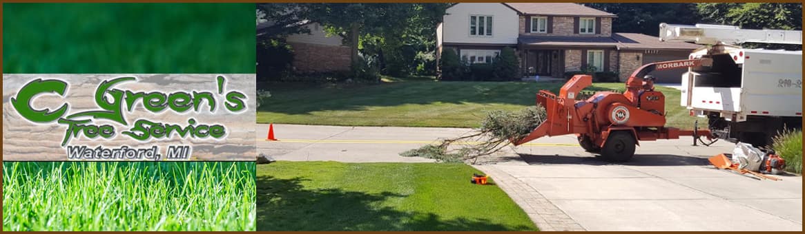 C Green's Tree Service