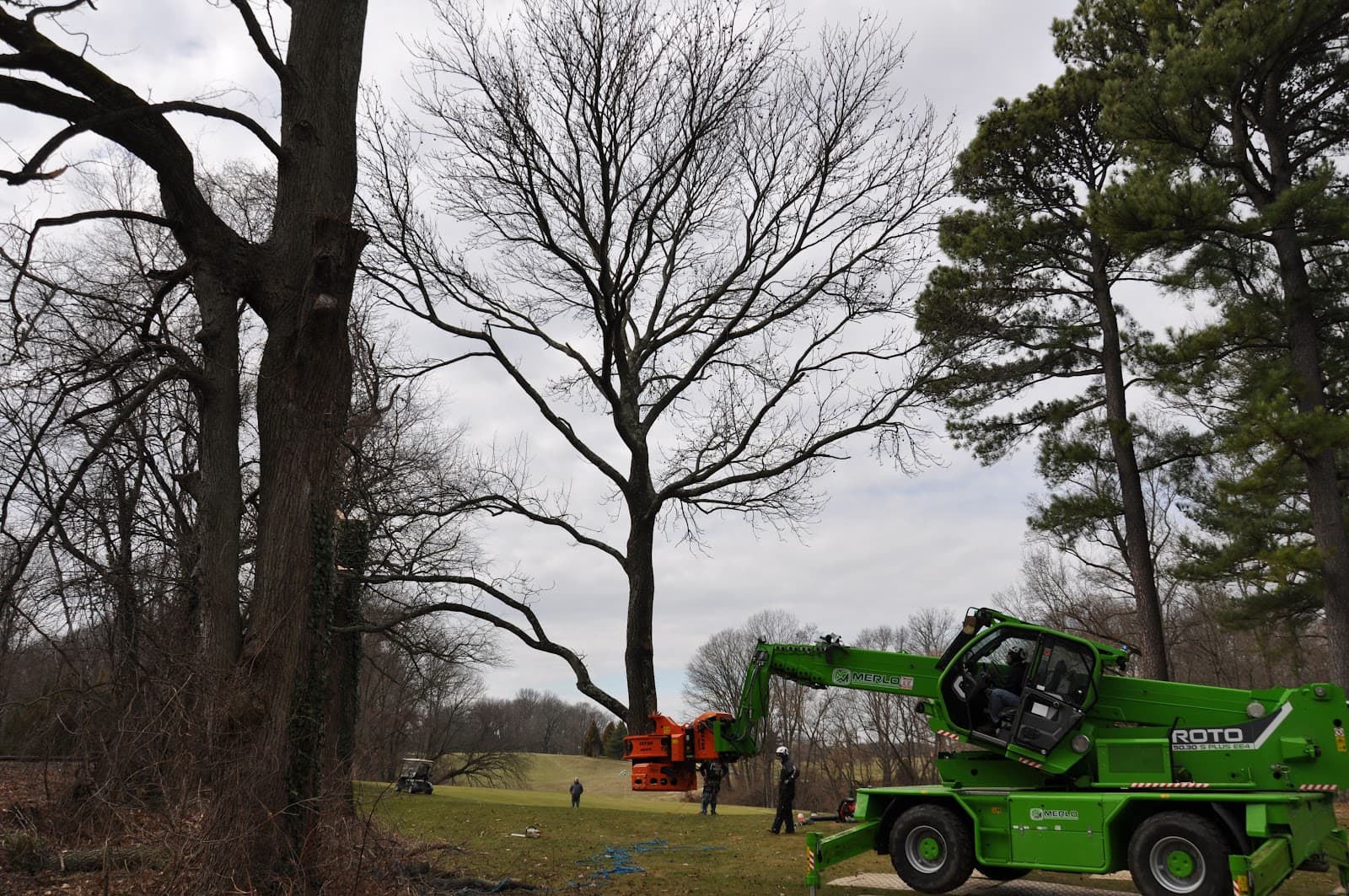 Wingate's Tree Service LLC