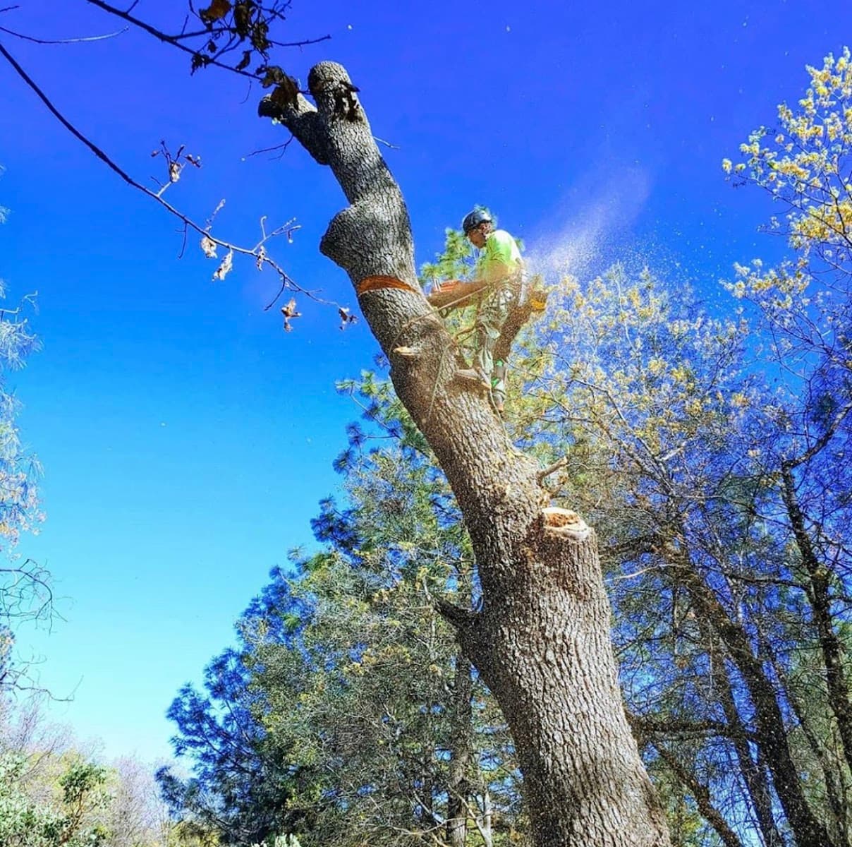 Mountain Air Land Management