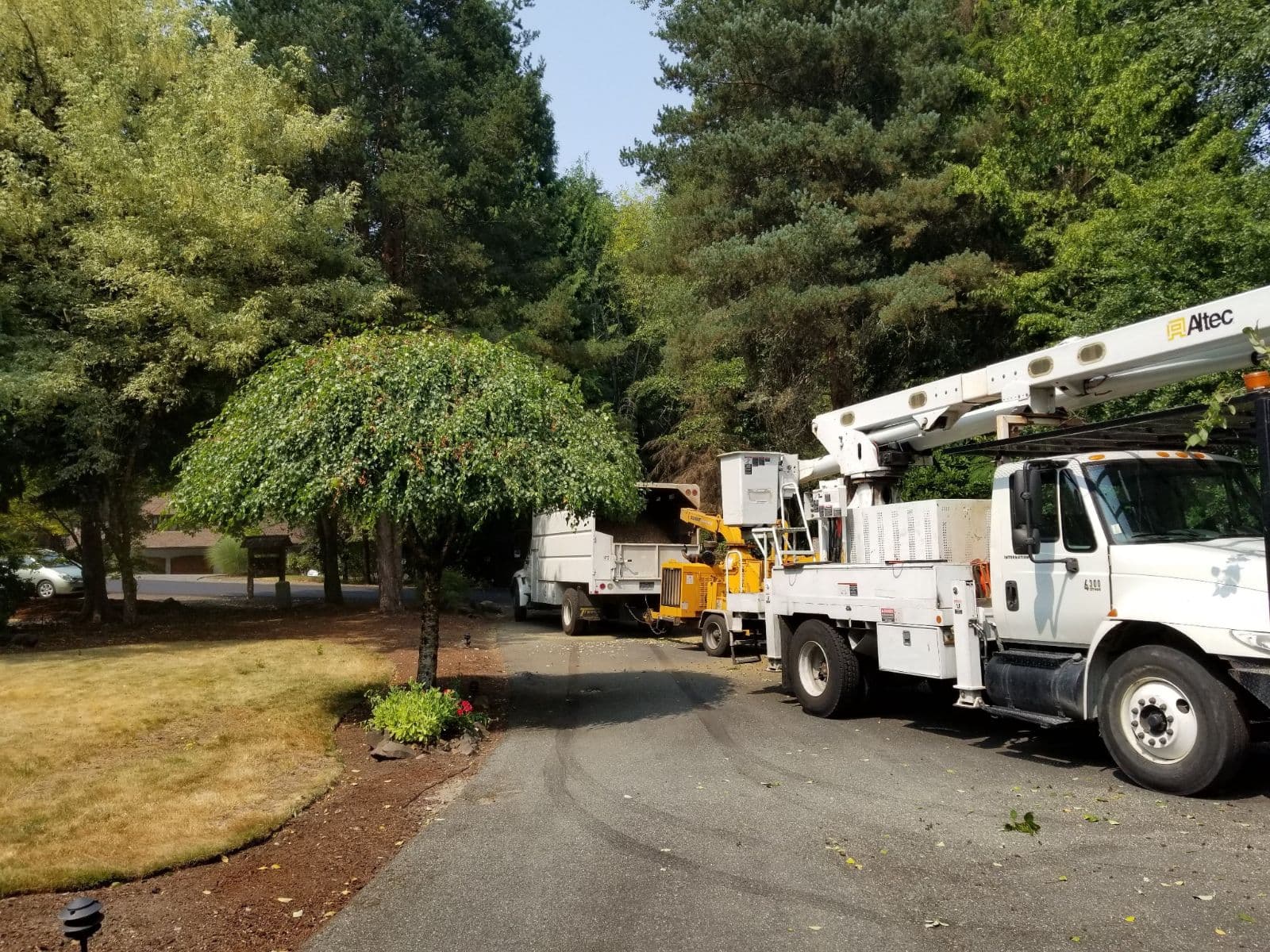 High Quality Tree Service