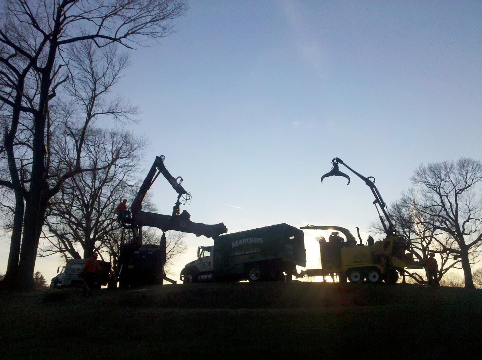 Marquis Tree Service