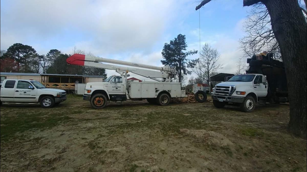 J C Tree Services LLC