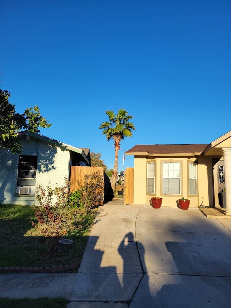 Steel Roots Tree Services