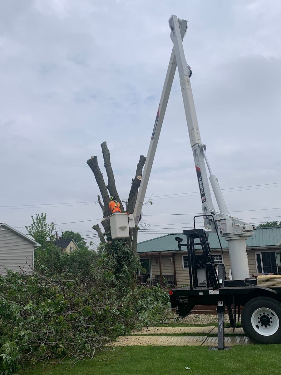 Anstead Landscaping & Tree Services, LLC