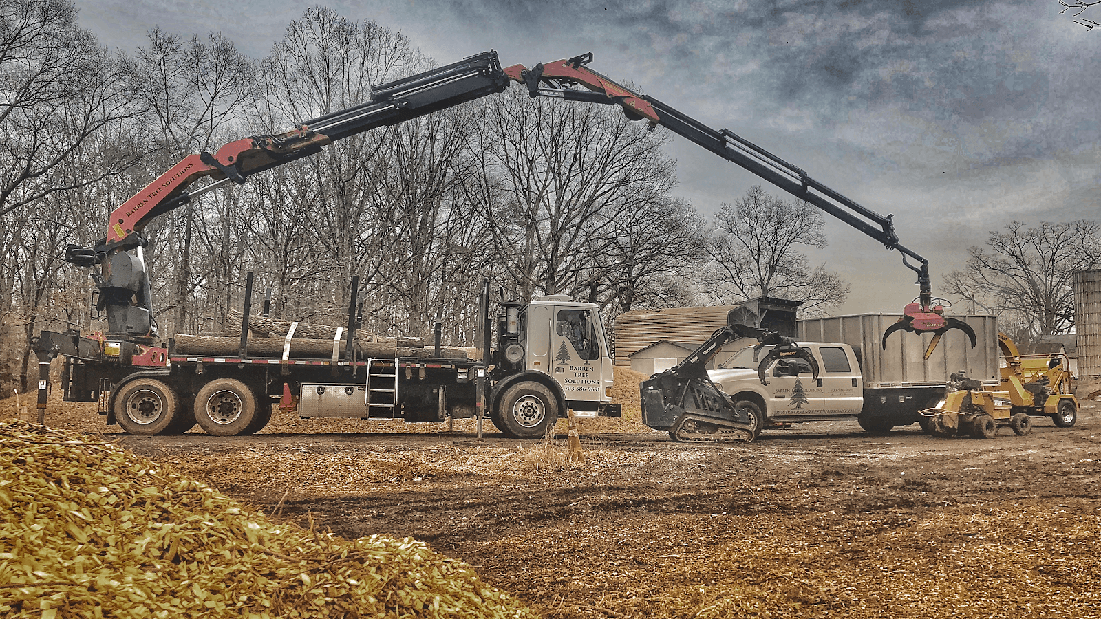 Barren Tree Solutions Inc.