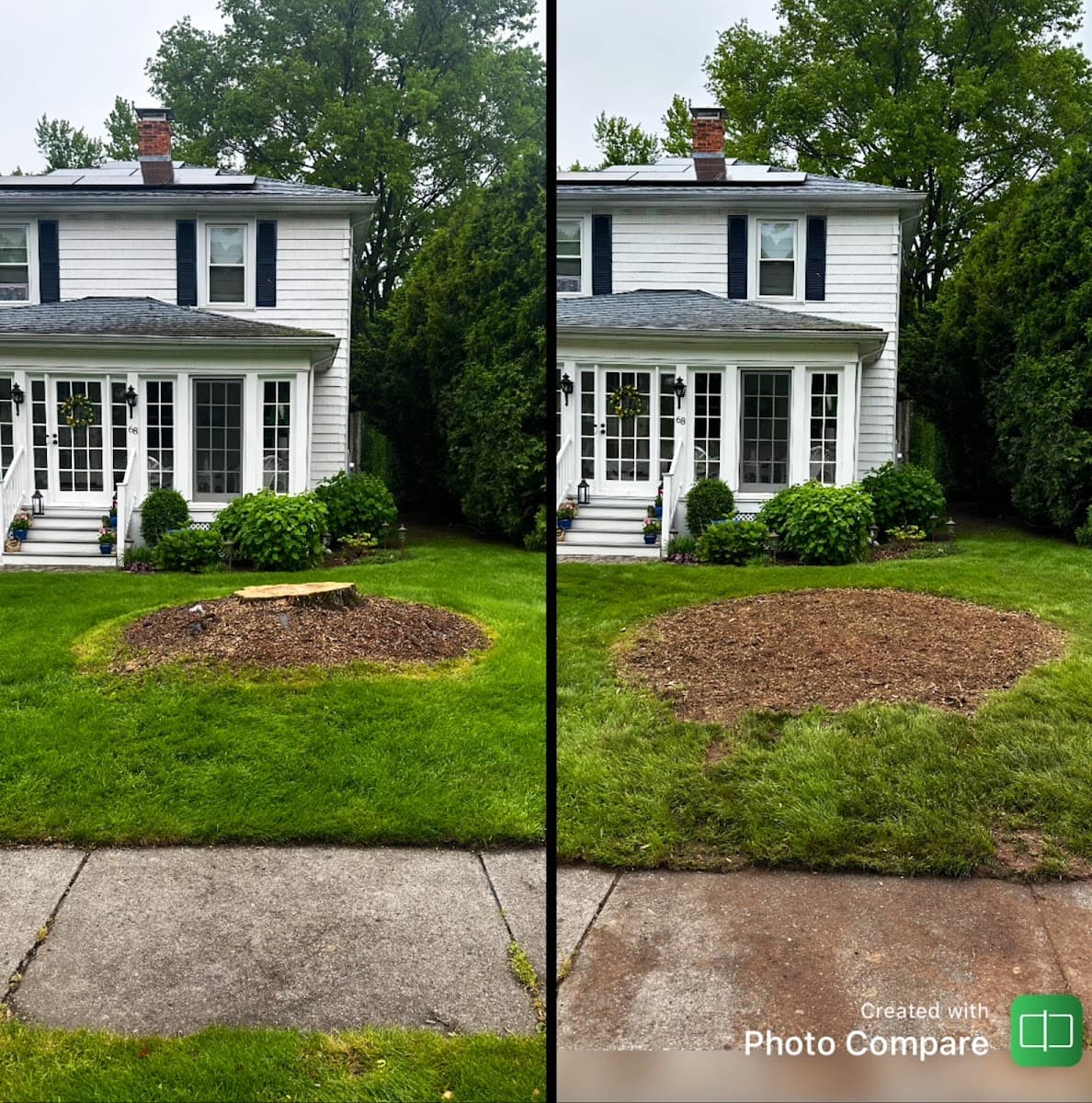 Stump "OFF" LLC Stump Grinding