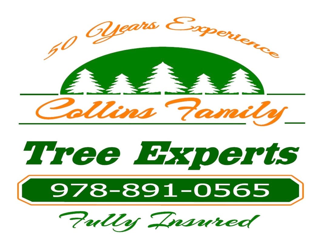 Collins Family Tree Experts