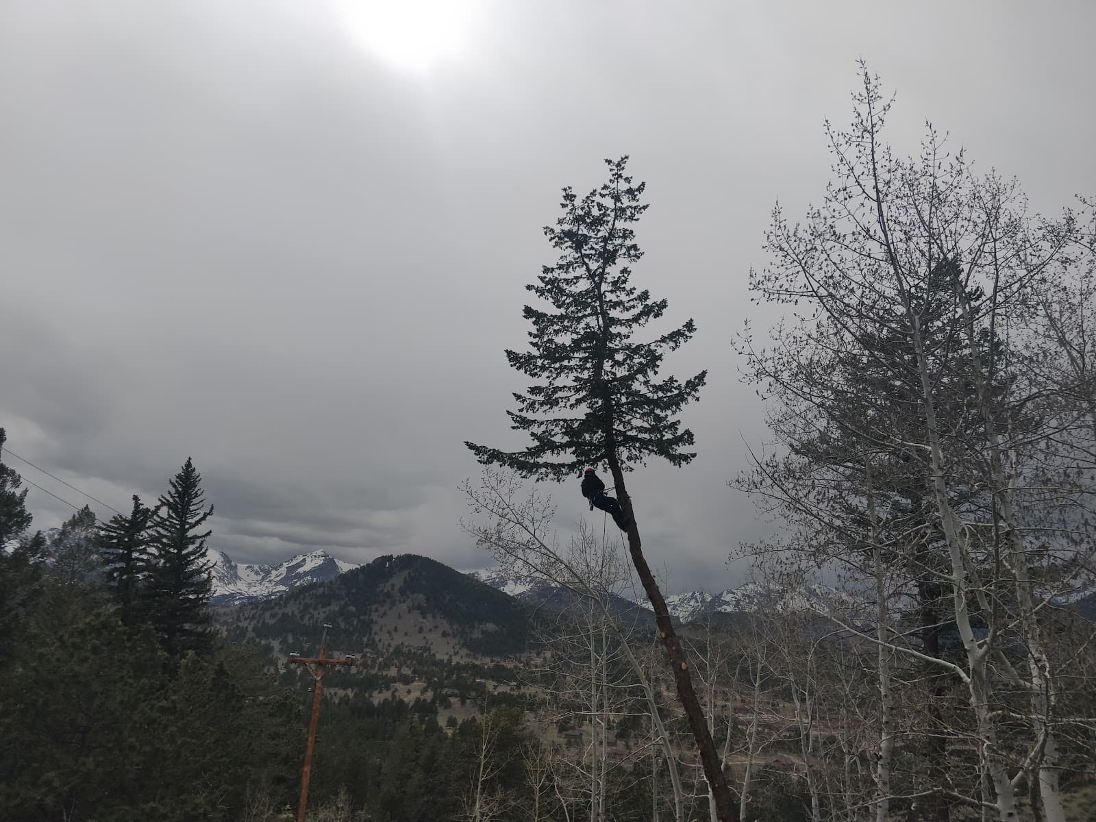 Estes Valley Tree Care LLC